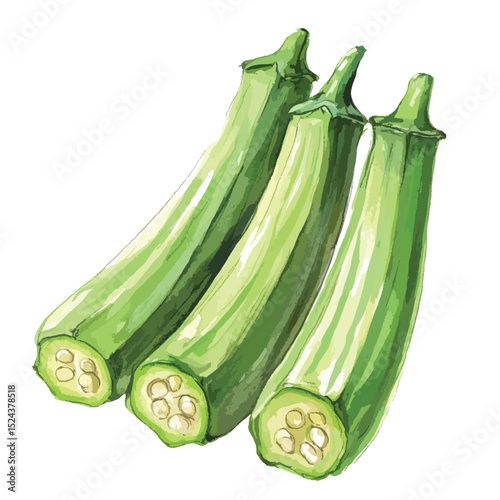 Watercolor Painting of Three Okra Pods Partially Sliced
