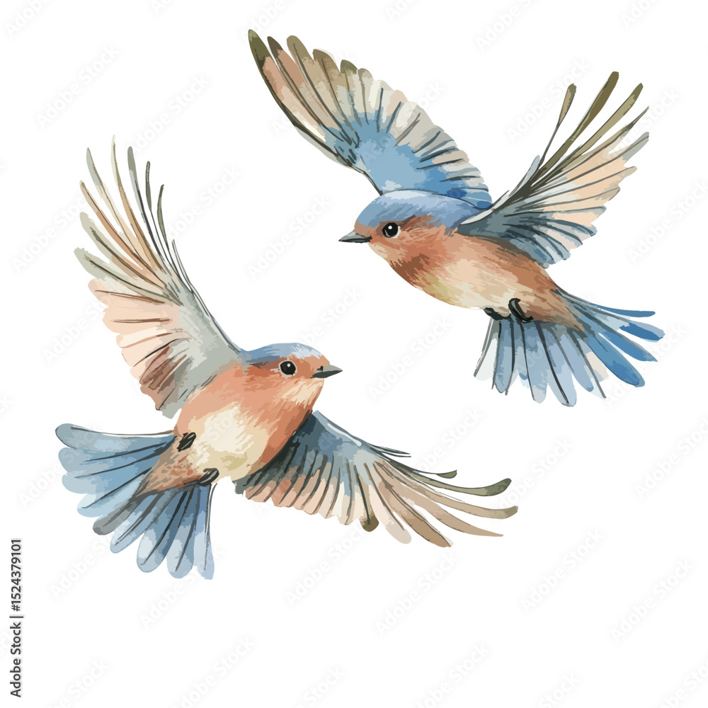 Naklejka premium Watercolor Painting of Two Bluebirds in MidFlight with Wings Spread