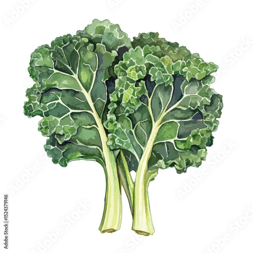 Watercolor Painting of Two Green Chard Stalks