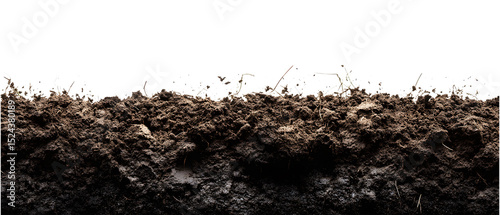 Cross section of soil with grass roots isolated on transparent background
