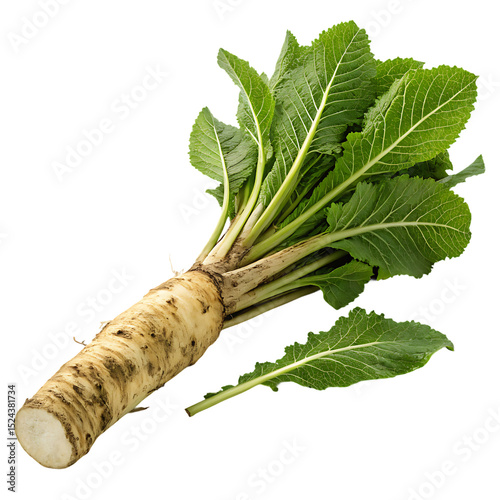 bunch of fresh green parsley