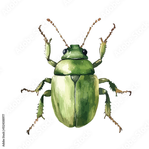 Watercolor Painting of a Green Beetle with Detailed Antennae
