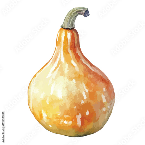 Watercolor Painting of a Pale Orange Gourd with a Curving Stem