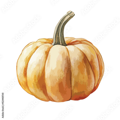 Watercolor Pumpkin with a Curved Stem Autumnal Harvest Symbol