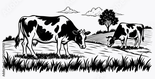 Black and White Illustration of Two Cows Grazing