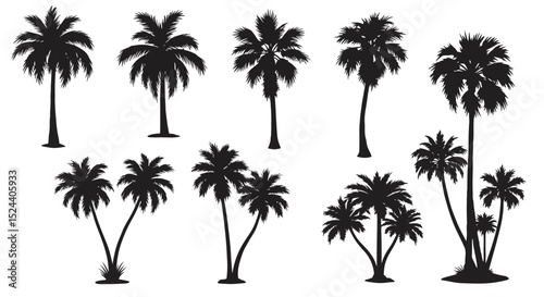 Palm Tree Silhouettes Collection Featuring Various Species of Tropical Palms in Black Against a White Background for Vector Art