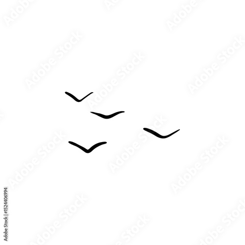 Birds flying isolated on white background.