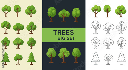 Diverse Trees Illustrations: Nature's Majesty Showcased Through Intricate Renderings of Various Tree Types with Detailed Textures and Shapes