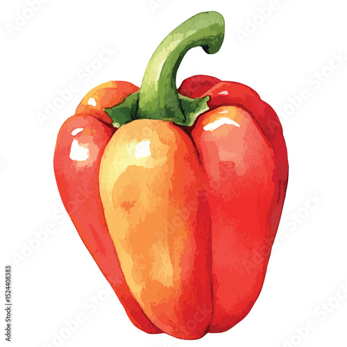 Watercolor Red and Orange Bell Pepper with Green Stem