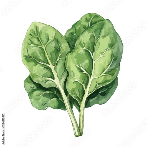 Watercolor spinach leaves with visible veins and vibrant green hues arranged in a cluster