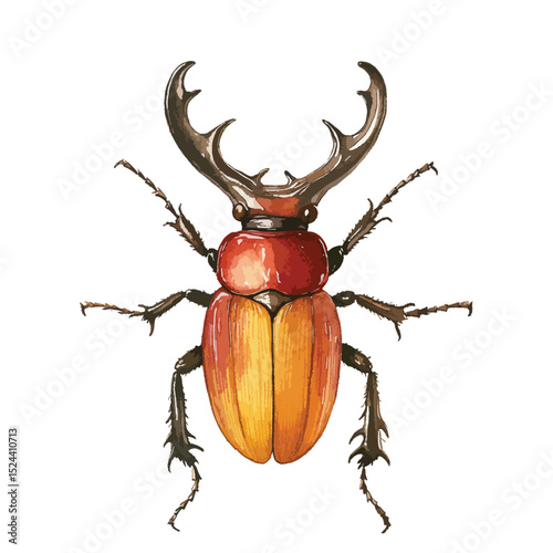 Watercolor Stag Beetle Illustration with Detailed Antlers and Textured Body