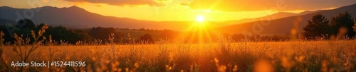 Golden hour sunlight bathes a landscape in warm, vibrant hues Perfect for travel, nature, and summer themes Showcases the beauty of a sun-drenched scene , summer, flowers, hills