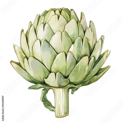 Watercolor Style Artichoke Illustration Green Hues Detailed Closeup