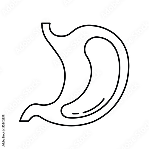 Stomach Human body line editable icons set, illustration in modern thin line style of human anatomy icons. Organs, body parts, skeleton parts, Pictogram and infographics for mobile. Isolated on White