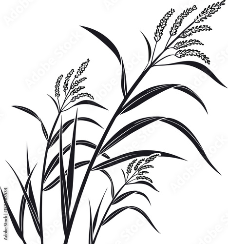 Isolated vector illustration of green bamboo leaves, a fresh plant design