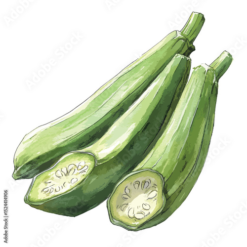 Watercolor Style Illustration of Three Green Zucchinis One Cut in Half