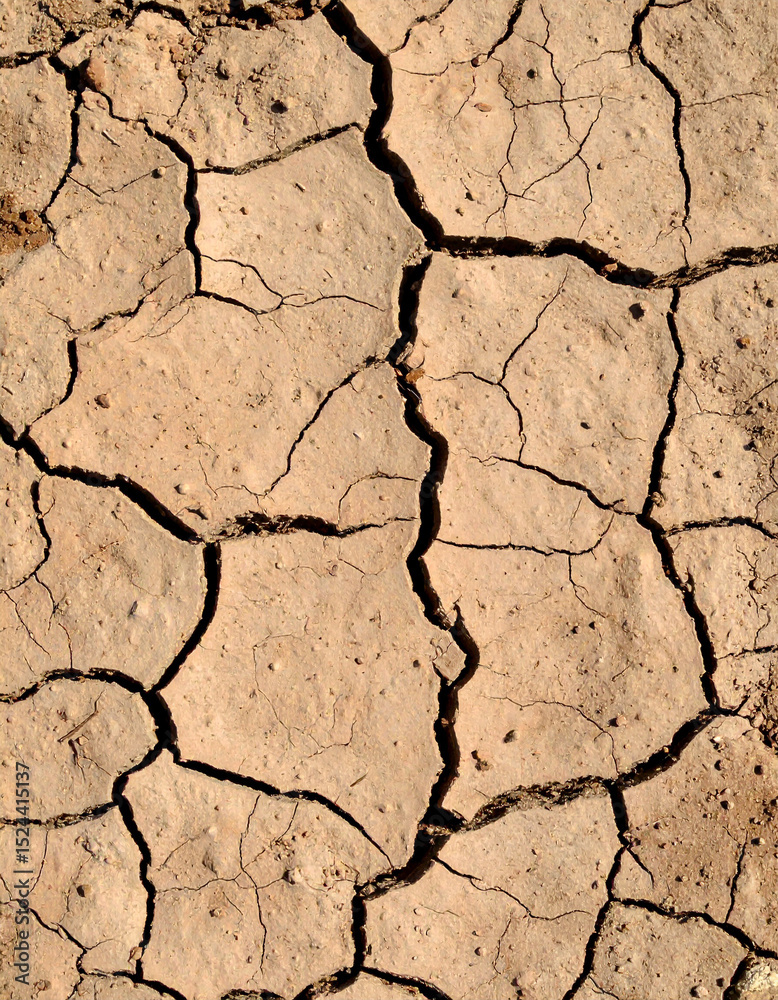 Fototapeta premium dry cracked earth