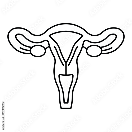 uterus Human body line editable icons set, illustration in modern thin line style of human anatomy icons. Organs, body parts, skeleton parts, Pictogram and infographics for mobile. Isolated on White