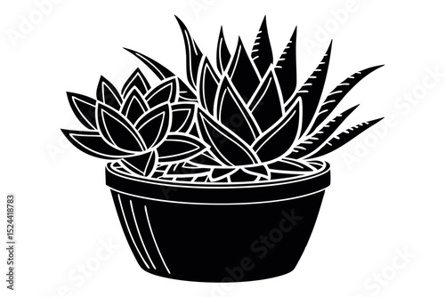 Black and white illustration of potted succulents botanical indoor plant design