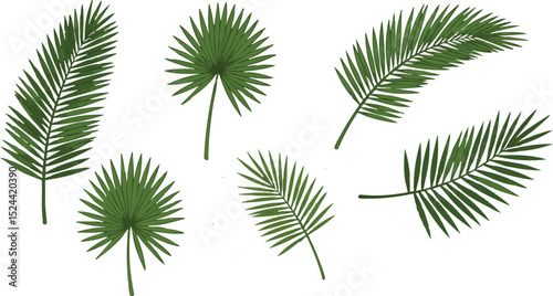 A collection of various green palm leaves isolated on a white background art