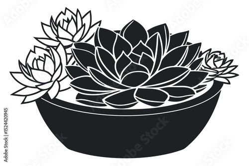 Black and white succulent plant arrangement in a modern decorative ceramic pot