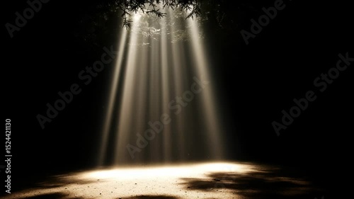 Mystical light beams descend through darkness, creating an ethereal and magical atmosphere
