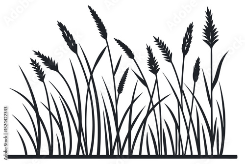 Black silhouetted wheat or wild grasses plants against a white background design