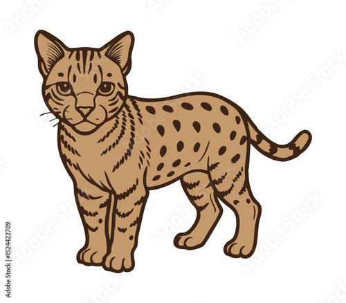 Colorful illustration of a Striped Cat