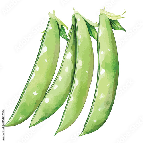 Watercolor Trio of Fresh Green Sugar Snap Peas