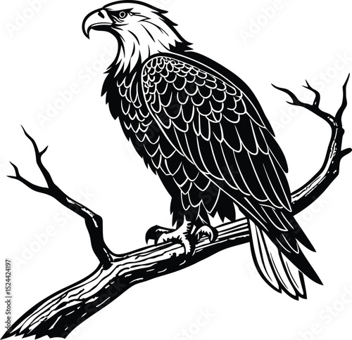 Here's a majestic shot of a wild eagle, a powerful bird of prey, perched on a branch, or isolated against a clean white background