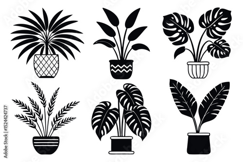 Collection of stylish black and white potted plants depicting various common tropical flora