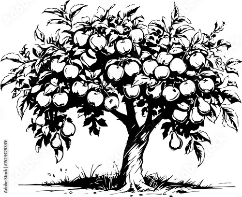 Apple tree harvesting season orchard illustrative art natural setting close-up view fruitful abundance
