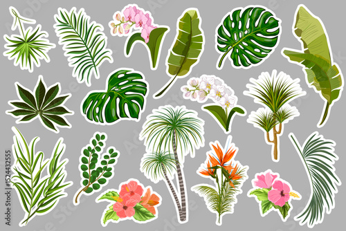 Stickers with tropical plants.Large vector collection of stickers and decals with tropical flowers and leaves on a gray background.