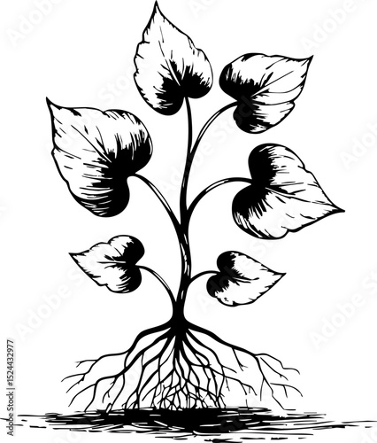 Growing plant seedling in soil nature black and white botanical art close-up growth