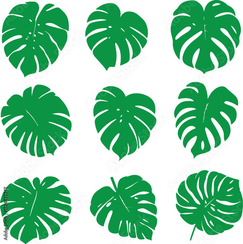 set of green silhouettes of monstera leaves