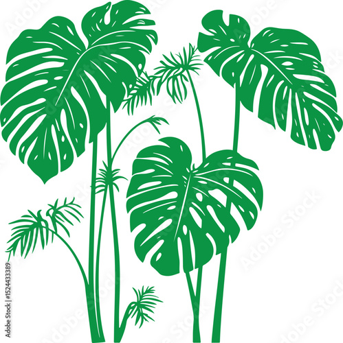 Silhouette of monstera tree