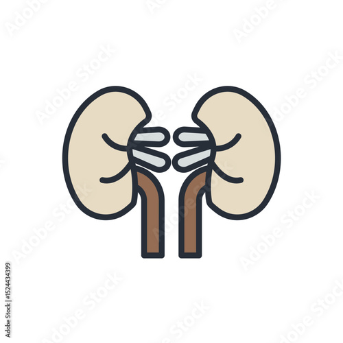kidney icons isolated on White Background. Flat style design