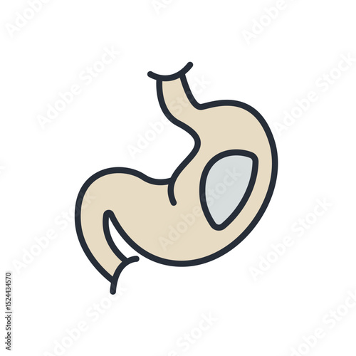 stomach icons isolated on White Background. Flat style design