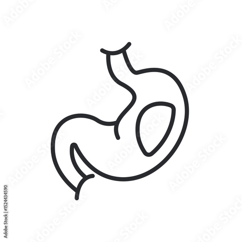stomach icons isolated on White Background. Flat style design