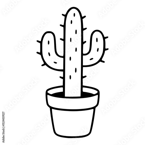 Cactus Plants