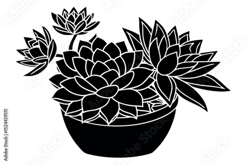 Stylized black and white illustration of succulent plants in a decorative pot