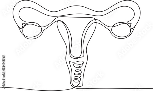 Female reproductive uterus in continuous single line art style, one line outline vector illustration for women's health awareness

