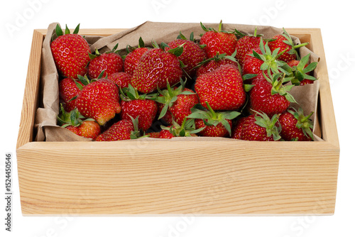 Homegrown Handpicked Strawberries in Wooden Punnet Isolated PNG