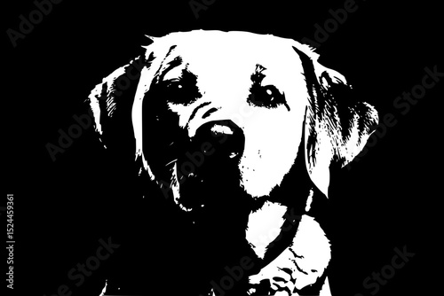 High-Contrast Black and White Animal Silhouettes – Stylized Wildlife Art Collection