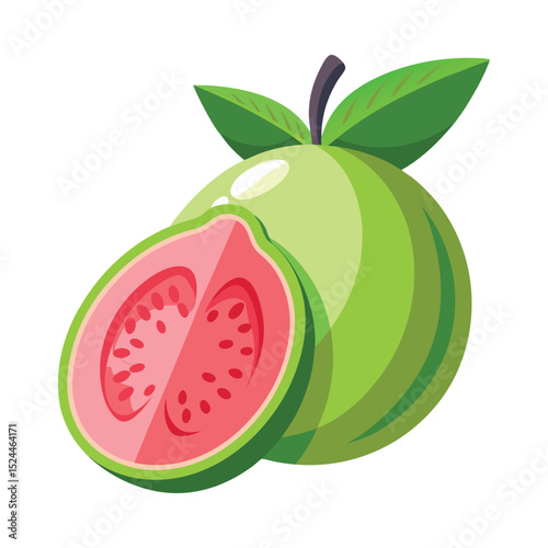 Fresh guava fruit with slice illustration