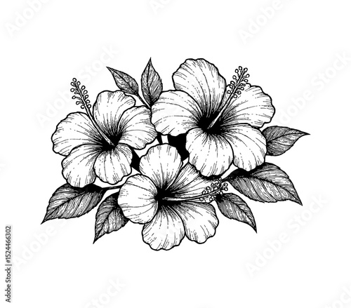 Close-up of a Pretty Black and White Flower with Detailed Petals and Soft Lighting