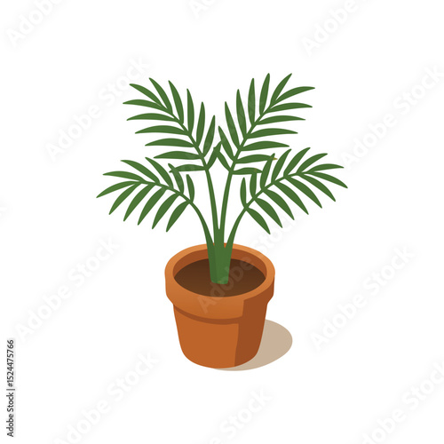 palm tree in a pot
