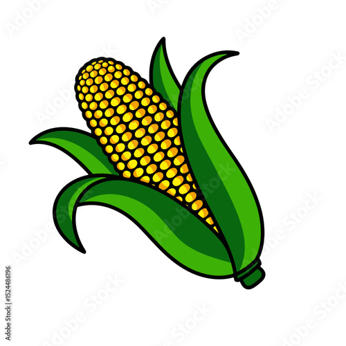 Illustration of a ripe corn cob with green leaves and visible kernels against a white background