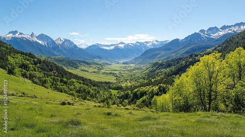 Panoramic mountain valley landscape with lush vegetation and snow-capped peaks