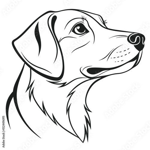 vector illustration of a dog